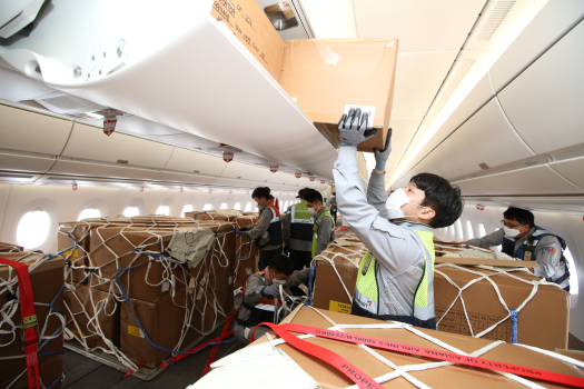 Asiana online carry on