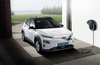 Hyundai, LG Energy agree to split EV recall costs, reflect in Q4 results