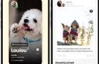 Dog meetup app MMDC aspires to be AI pet nanny