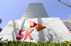 SK Ecoplant seeks to absorb SK Materials' industrial gas units