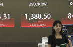 Korean IPO boom sets new record; bubbles burst after debut