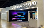 S.Korea relinquishes control to China in smaller OLED market