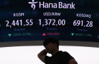 South Korean stock market crashes; more falls seen ahead