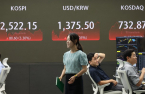 South Korean stocks rebound but still on  rollercoaster